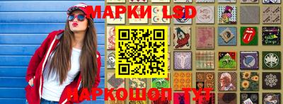 шишки Будённовск
