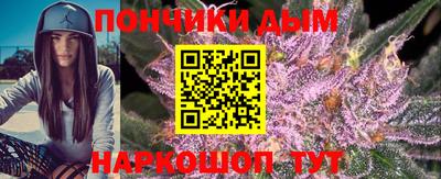 шишки Будённовск