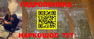 шишки Будённовск