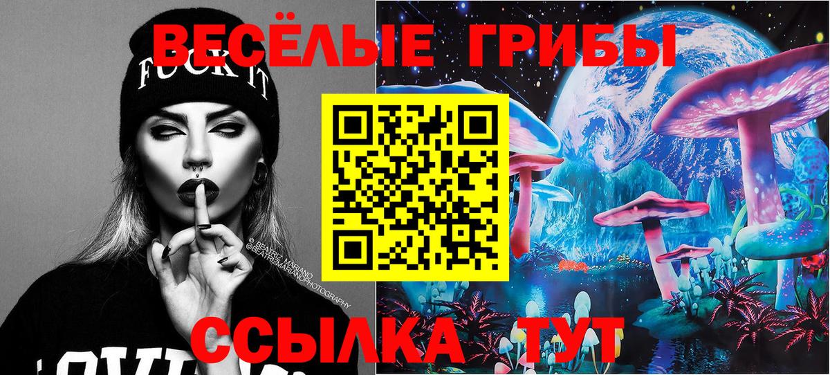 Новый Уренгой  где купить наркотик  Вход с VPN  Галлюциногенные грибы MAGIC MUSHROOMS 